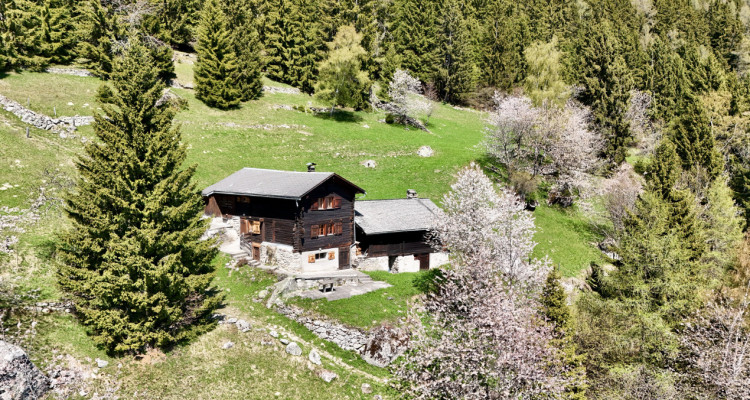 Véritable chalet coup de coeur – Havre de paix face aux montagnes image 1