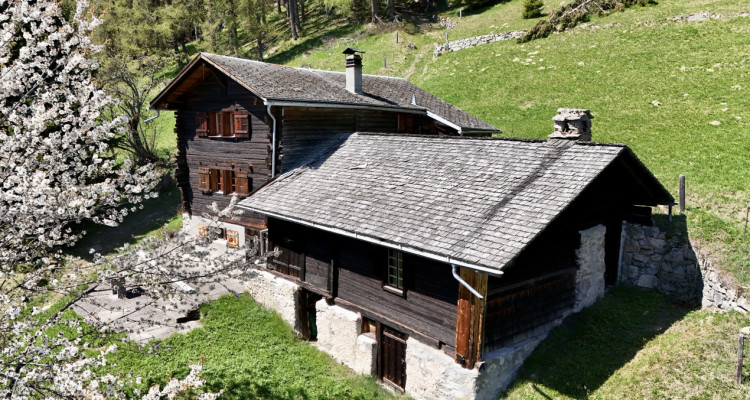 Véritable chalet coup de coeur – Havre de paix face aux montagnes image 3