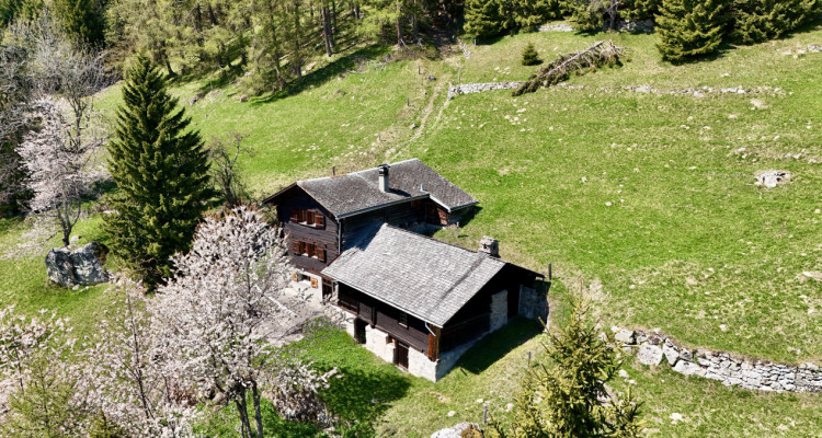 Véritable chalet coup de coeur – Havre de paix face aux montagnes image 5