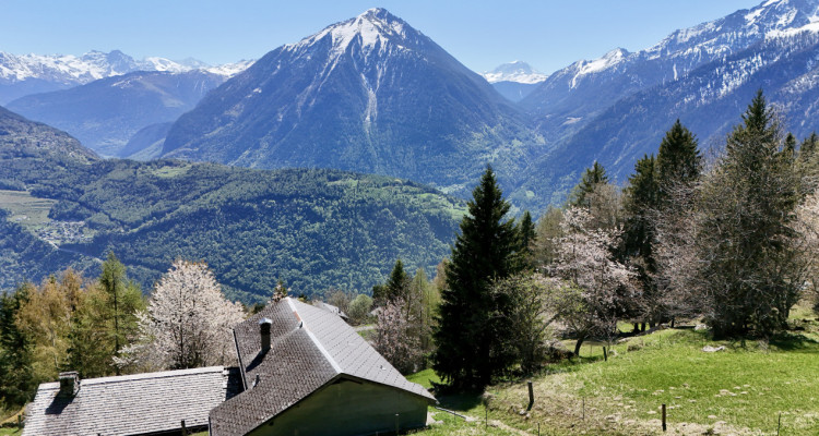 Véritable chalet coup de coeur – Havre de paix face aux montagnes image 4