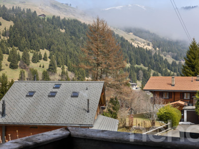 Exclusif : Superbe chalet de 5 chambres rénové récemment image 9