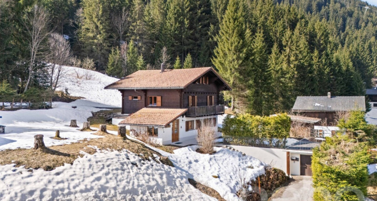Exclusif : Superbe chalet de 5 chambres rénové récemment image 1