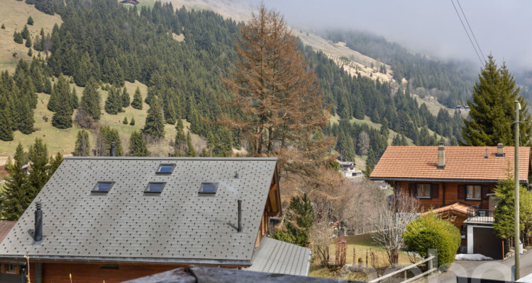 Exclusif : Superbe chalet de 5 chambres rénové récemment image 9