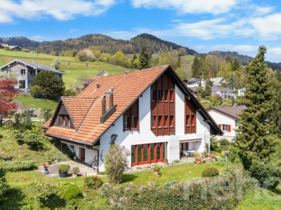 Wohnen mit Alpenpanorama - Ihr neues Zuhause in Altstätten image 1