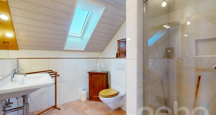 Grosszügige und Charmante Dachwohnung mit grossem Balkon image 10