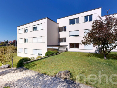 Ruhig gelegene 3.5-Zimmer-Wohnung mit Balkon und Potenzial in Höngg image 1