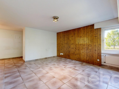 Ruhig gelegene 3.5-Zimmer-Wohnung mit Balkon und Potenzial in Höngg image 7