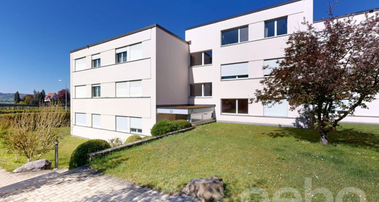 Ruhig gelegene 3.5-Zimmer-Wohnung mit Balkon und Potenzial in Höngg image 1