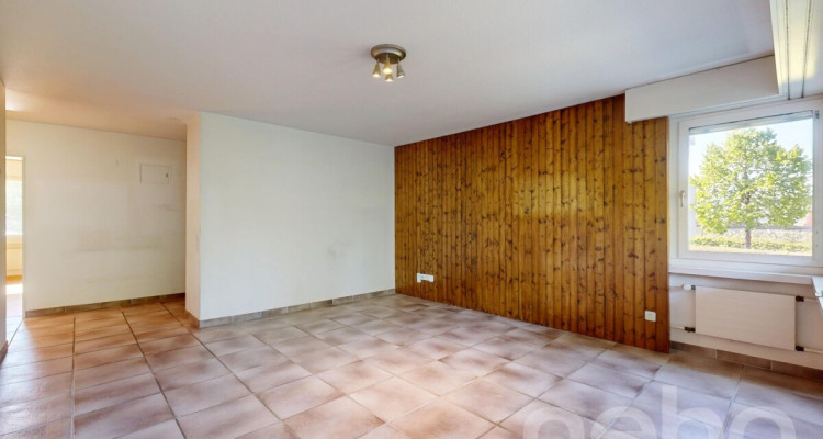 Ruhig gelegene 3.5-Zimmer-Wohnung mit Balkon und Potenzial in Höngg image 7