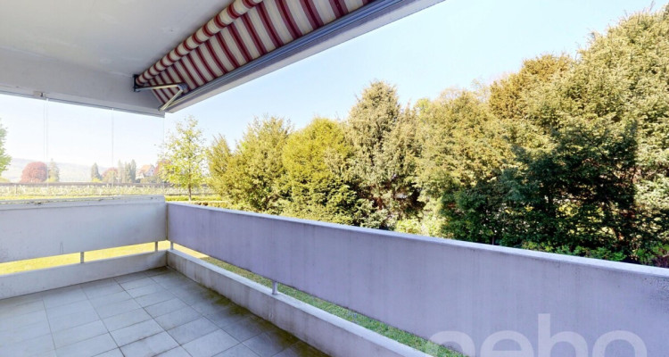 Ruhig gelegene 3.5-Zimmer-Wohnung mit Balkon und Potenzial in Höngg image 11