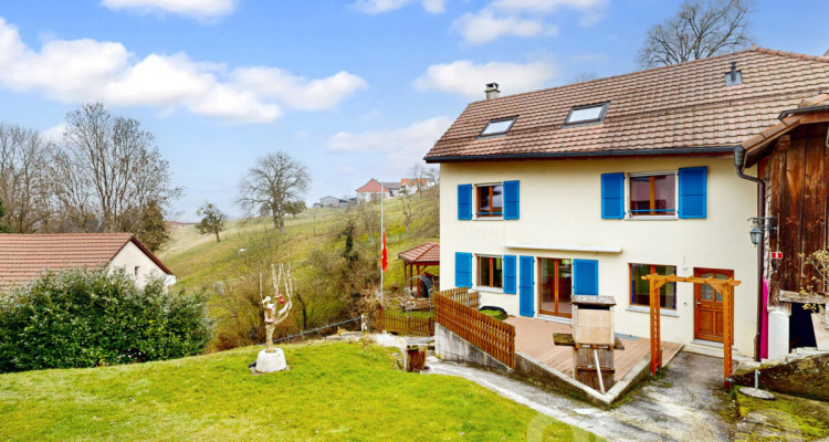 Splendide villa individuelle image 1