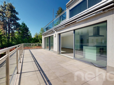 Spacieux 3.5 pièces avec grand terrasse et situation idéale image 3