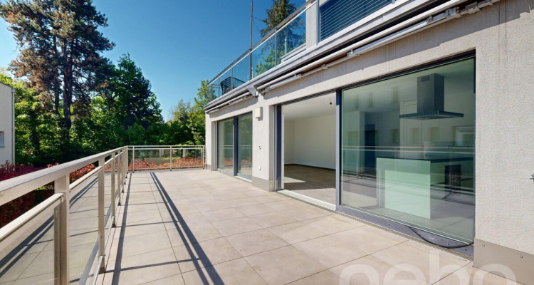 Spacieux 3.5 pièces avec grand terrasse et situation idéale image 3