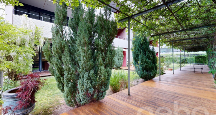 4.5-Zimmer-Gartenwohnung mit grosszügigem Aussenbereich image 2
