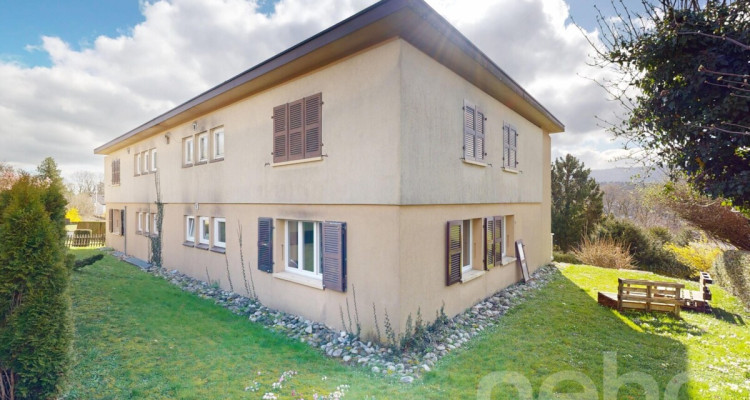 Immeuble de 4 logements à vendre à Porrentruy image 8