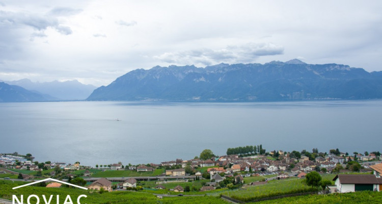Magnificent triplex in the vineyards of Lavaux image 11