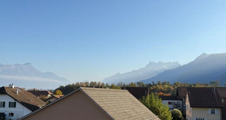 Coup de cœur assuré ! Superbe attique duplex 4,5 pièces à deux pas du lac image 12