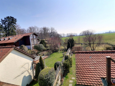 Magnifique duplex en attique en viager occupé sans rente image 5