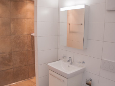 GRAND APPARTEMENT AU COEUR DE CLARENS image 4