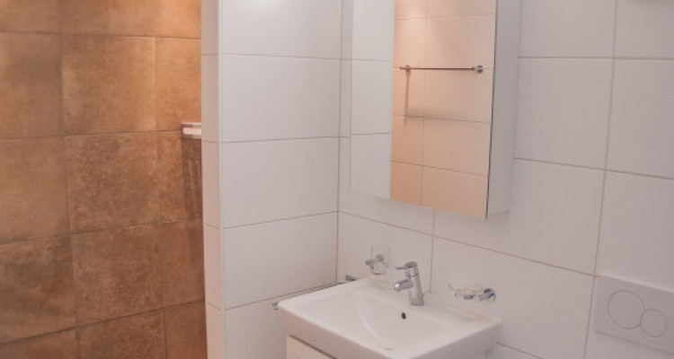 GRAND APPARTEMENT AU COEUR DE CLARENS image 4