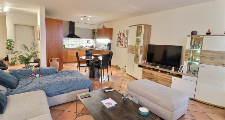 Superbe appartement en viager occupé sans rente avec piscine et vue Lac image 12