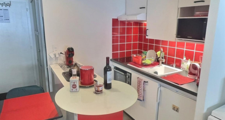 Super studio avec jardin privé en viager occupé sans rente limité à 5 ans. image 5