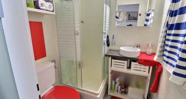 Super studio avec jardin privé en viager occupé sans rente limité à 5 ans. image 6