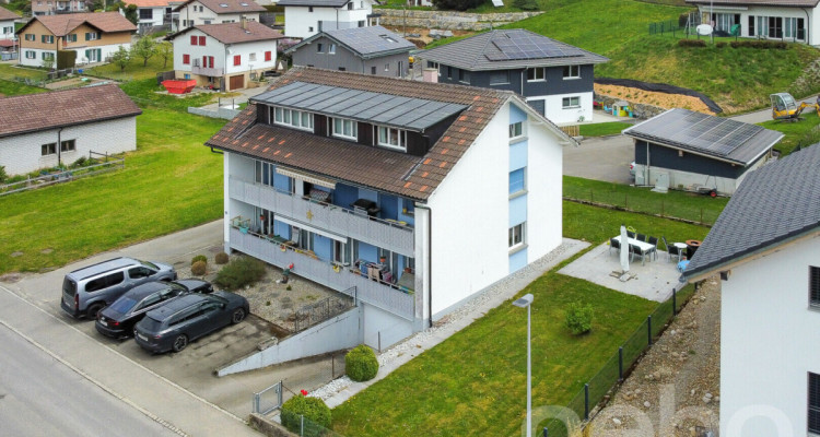Mehrfamilienhaus im grünen Plasselb image 1