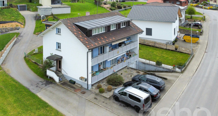 Mehrfamilienhaus im grünen Plasselb image 3