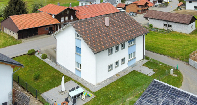 Mehrfamilienhaus im grünen Plasselb image 5