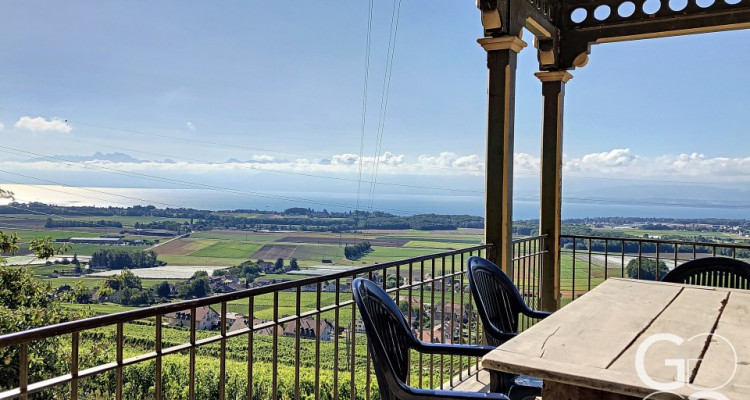 Ancienne maison vigneronne à transformer en maison de maître image 1