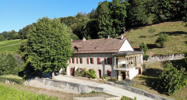Ancienne maison vigneronne à transformer en maison de maître image 2