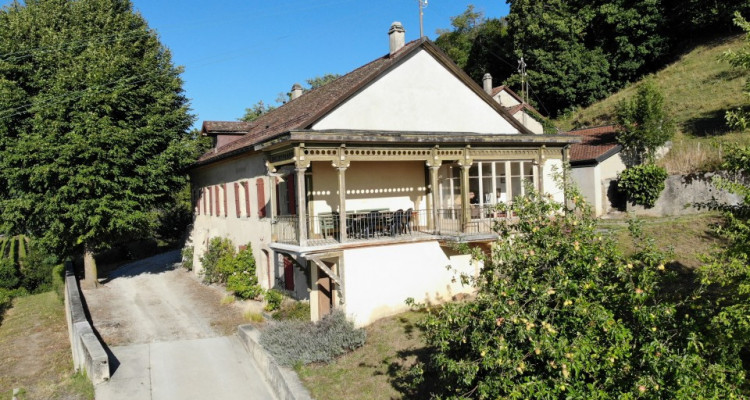 Ancienne maison vigneronne à transformer en maison de maître image 4
