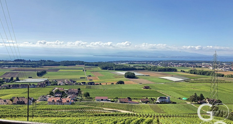 Ancienne maison vigneronne à transformer en maison de maître image 5