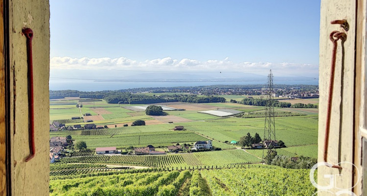 Ancienne maison vigneronne à transformer en maison de maître image 12