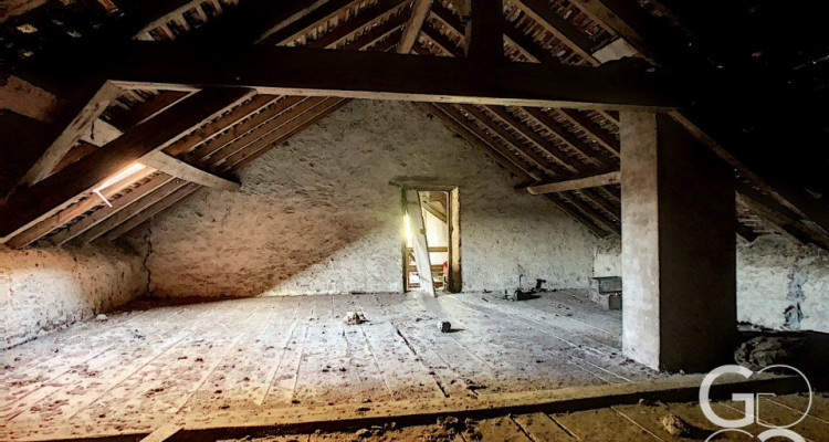 Ancienne maison vigneronne à transformer en maison de maître image 13