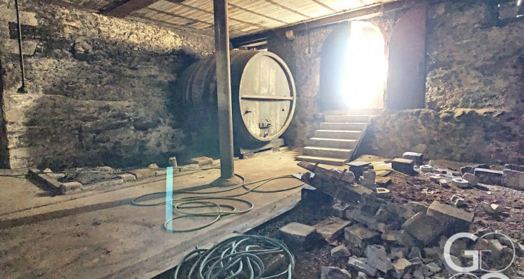 Ancienne maison vigneronne à transformer en maison de maître image 14