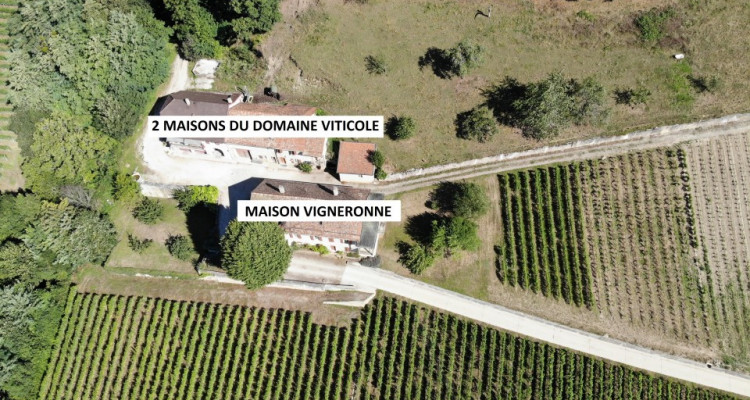 Ancienne maison vigneronne à transformer en maison de maître image 15