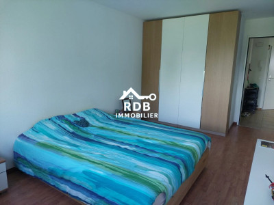 Appartement lumineux de 4,5 pièces au rez-de-chaussée, entre Genève et Lausanne image 9