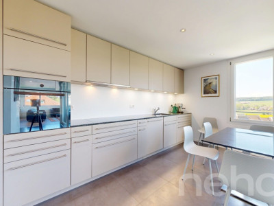 Duplex en attique lumineux avec vue dégagée à deux pas de la gare image 8