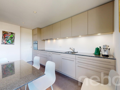 Duplex en attique lumineux avec vue dégagée à deux pas de la gare image 9