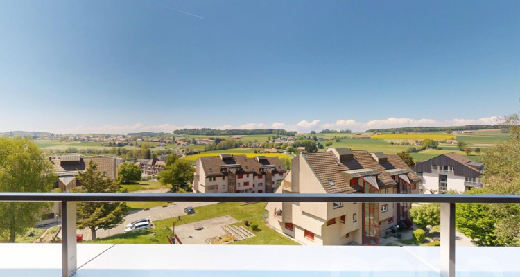 Duplex en attique lumineux avec vue dégagée à deux pas de la gare image 3