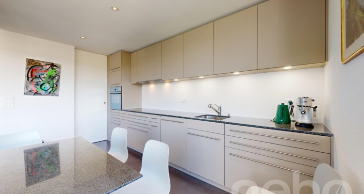 Duplex en attique lumineux avec vue dégagée à deux pas de la gare image 9