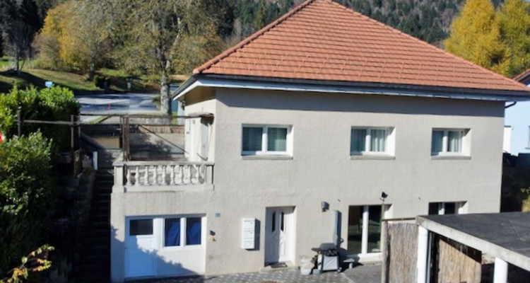 En exclusivité:  6 pièces en duplex + 3 pièces - Terrasses, couvert à voitures  image 1