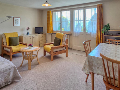 2-Zimmer-Wohnung mit Bergsicht und grossem Umschwung image 3