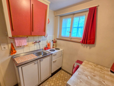 2-Zimmer-Wohnung mit Bergsicht und grossem Umschwung image 4