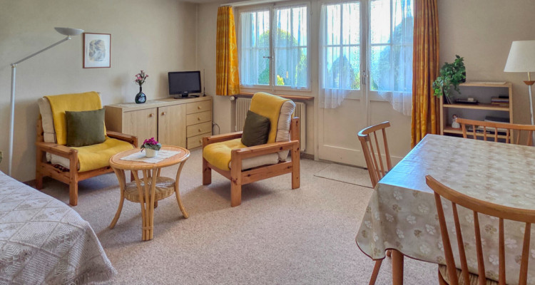 2-Zimmer-Wohnung mit Bergsicht und grossem Umschwung image 3