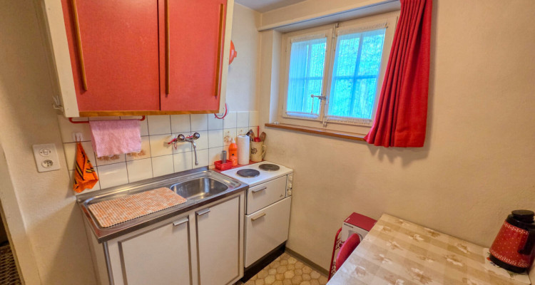 2-Zimmer-Wohnung mit Bergsicht und grossem Umschwung image 4