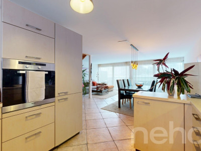Grand Duplex avec Jardin privé à La Chaux-de-Fonds, 4.5 pièces image 12
