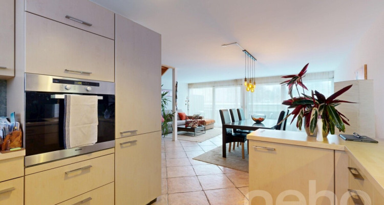 Grand Duplex avec Jardin privé à La Chaux-de-Fonds, 4.5 pièces image 12